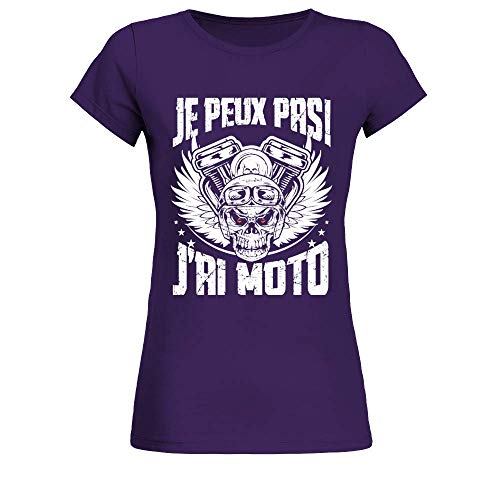 Tee Shirt femme esprit motarde humoristique